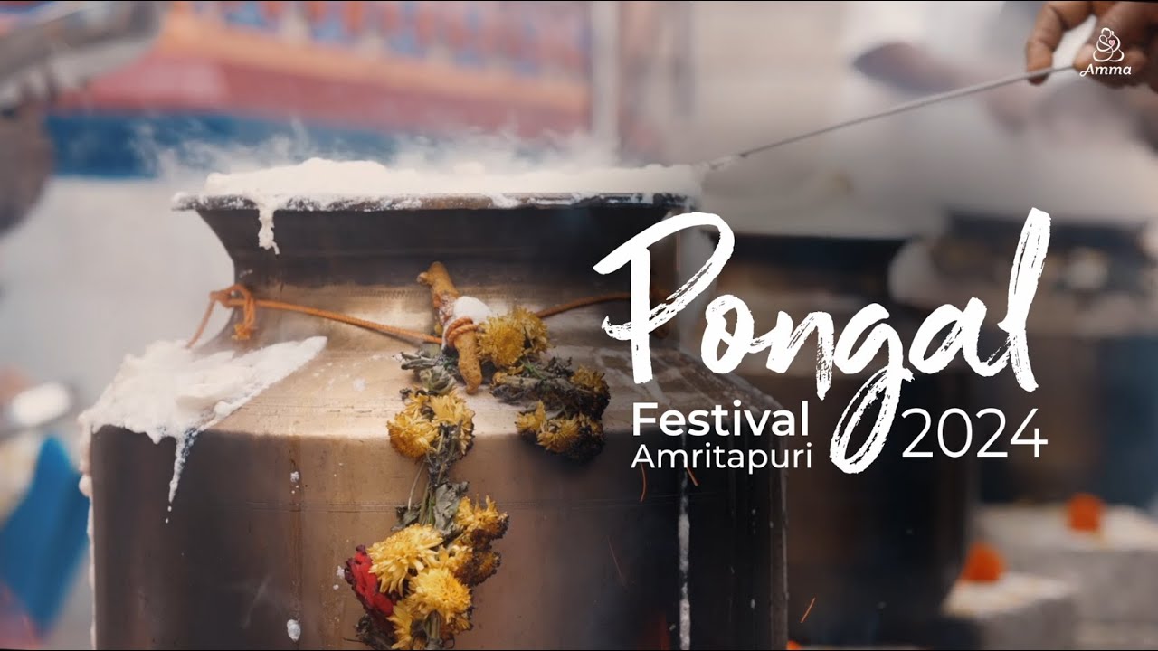 Pongal 2024 – Amritapuri Highlights
