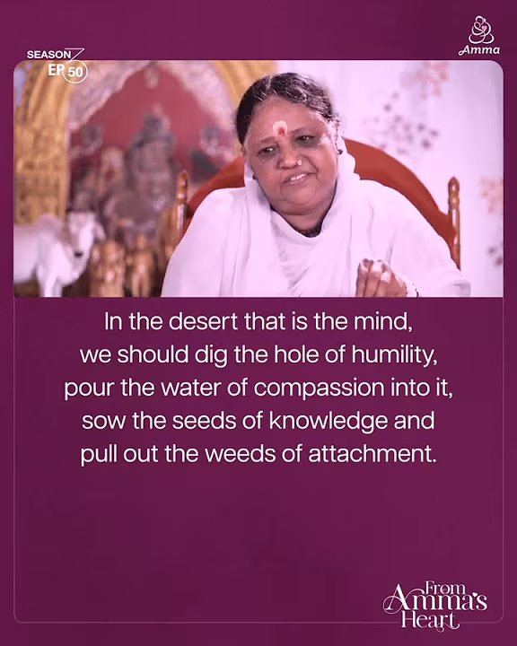 Avoiding Danger on Life’s Path – From Amma’s Heart S3 E 50