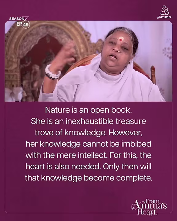 Recognizing our shortcomings – From Amma’s Heart S3 E49
